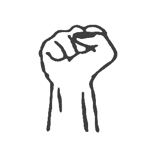 जनता समाजवादी पार्टी(एकल चुनाव चिन्ह)