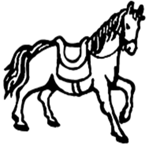 मितेरी पार्टी नेपाल